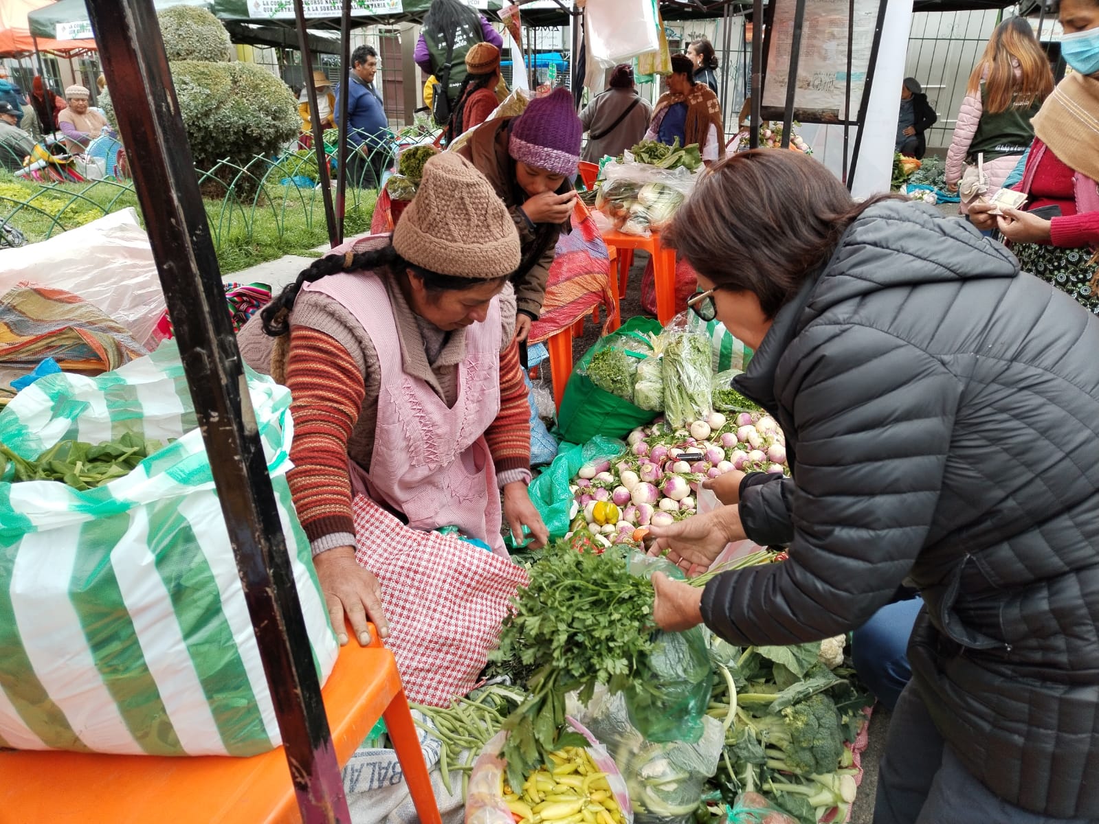 Ferias “Del campo a la olla” son un éxito y llegarán a ciudades intermedias