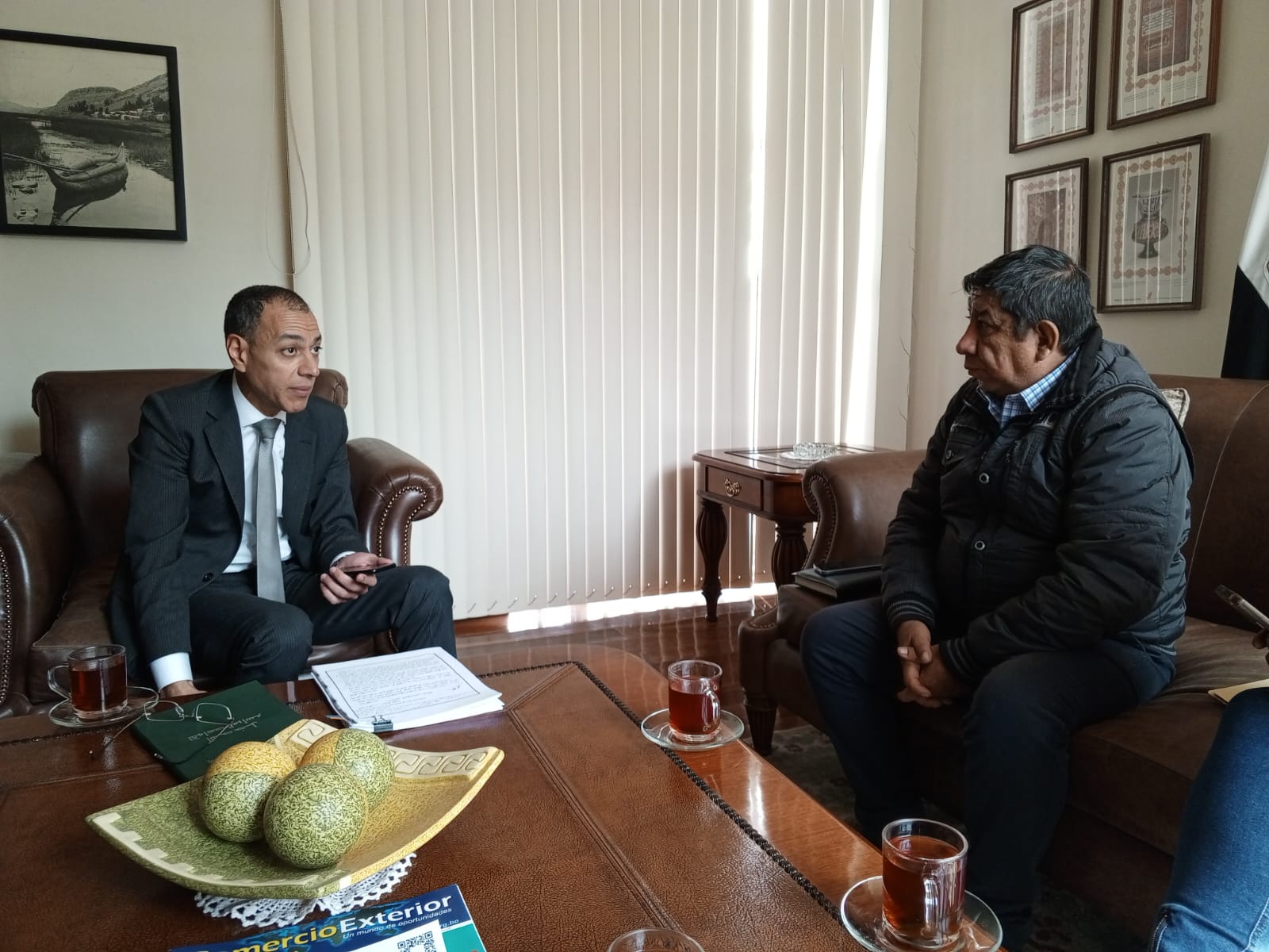 Egipto busca importar carne bovina y subproductos bolivianos