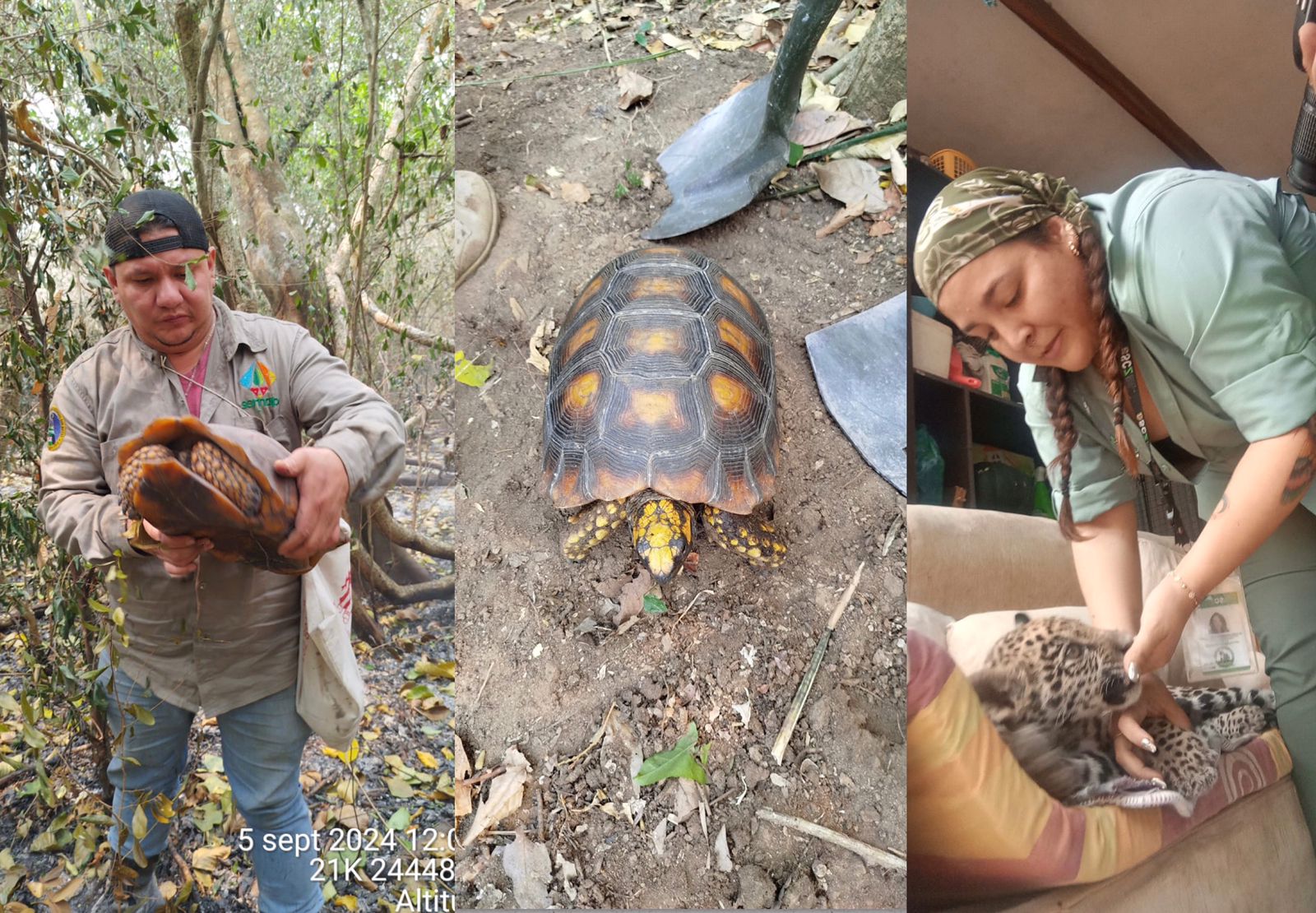Gobierno compromete esfuerzos para precautelar la fauna silvestre de los incendios forestales