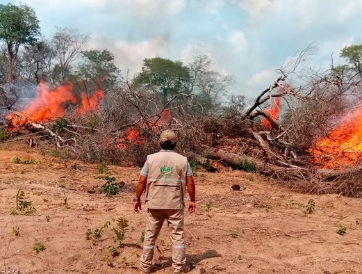 Procesos administrativos por quemas ilegales llegan a 312 y penales por incendios forestales a 82