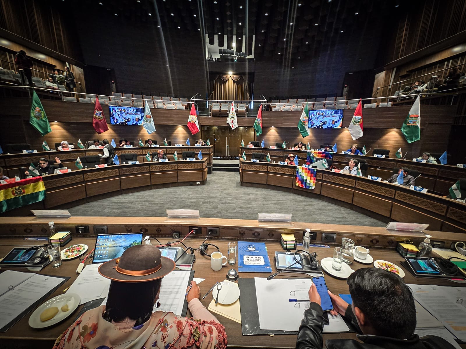 Senado aprueba abrogación de ley promulgada por Morales para desmonte de hasta 20 hectáreas