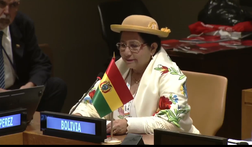 Bolivia denuncia en la ALBA-TCP los afanes desestabilizadores de Morales 