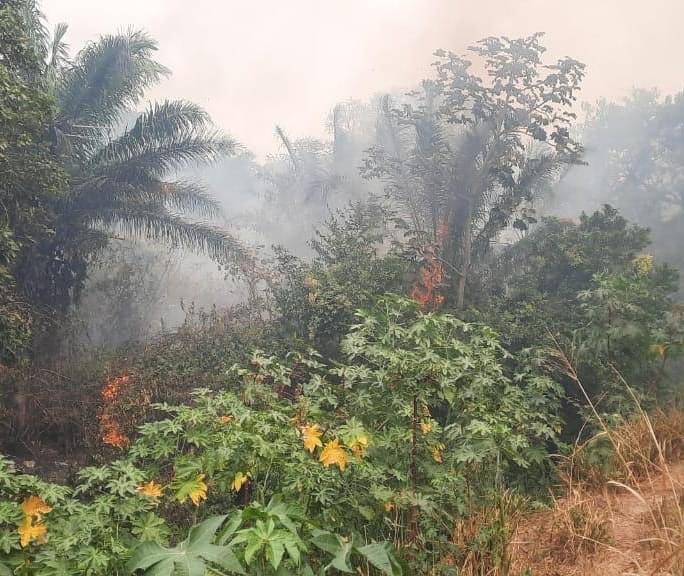 Senamhi advierte que condiciones climáticas favorecen la propagación del fuego 