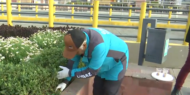 Desratizarán áreas verdes en La Paz para controlar plagas por época de lluvias