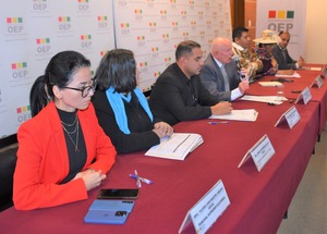 Calendario de elecciones: Hasta el 19 de mayo deben inscribirse candidatos y el TSE difundirá datos preliminares