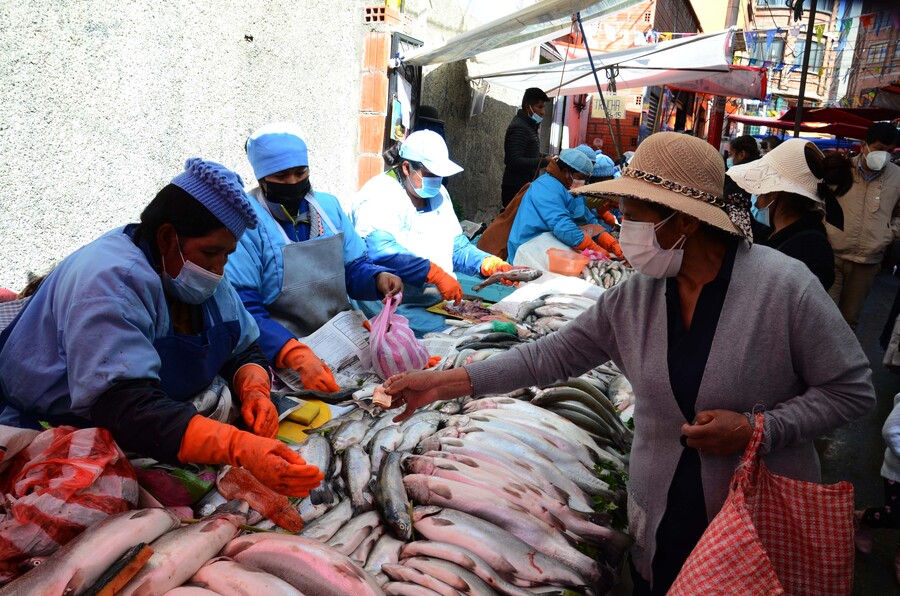 Defensa del Consumidor intensifica controles a la venta de carne de pescado 