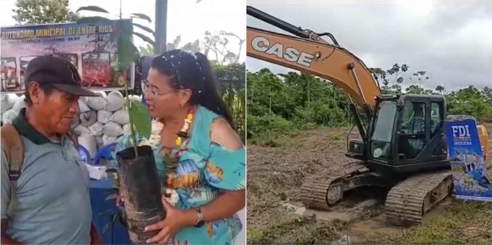 Entregan plantines y construirán estanques para promover agricultura y piscicultura de Entre Ríos, Cochabamba. Captura: FDI