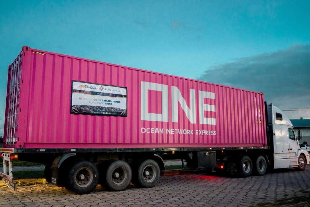 Bolivia prevé exportar 50 mil toneladas anuales de chía a China