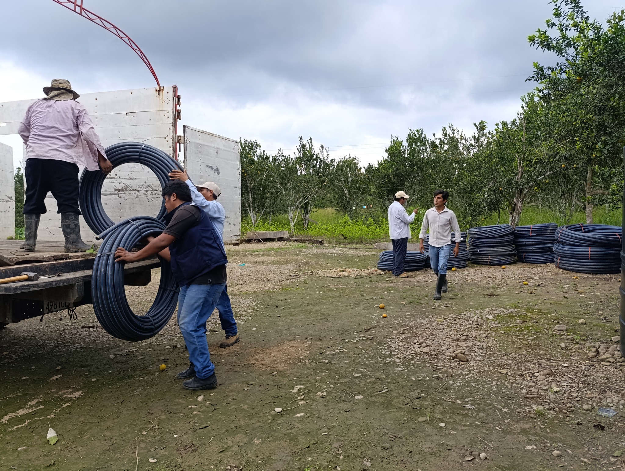 En Puerto Villaroel instalarán sistema de riego para cultivos de palma aceitera destinado al biodiésel