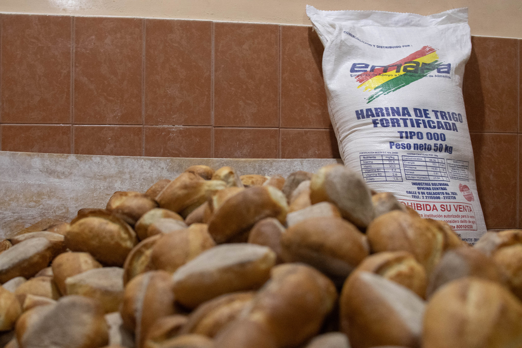 Gobierno descarta incremento en el precio del pan de batalla, asegura que destina Bs 1.200 millones a panificadores