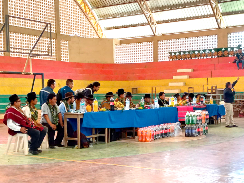 En Teoponte y Tacacoma invertirán Bs 23,7 millones para dotar de electricidad a unas 1.000 familias