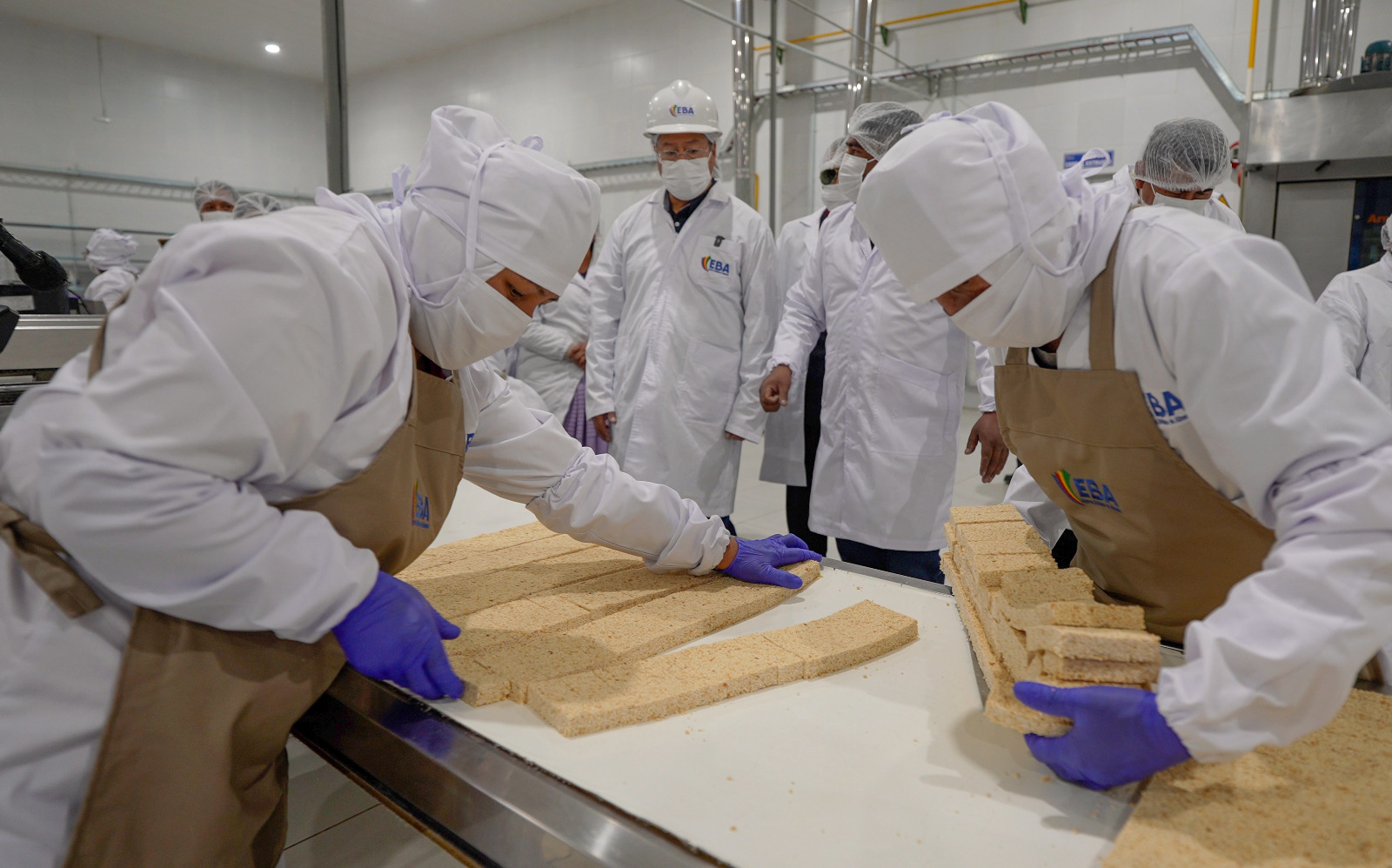 Estatal Empresa de Alimentos generó utilidades de Bs 11,7 millones al primer semestre