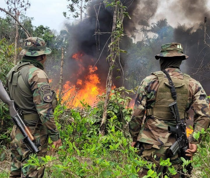 Desmantelan 40 fábricas de cocaína en el Chapare con una afectación económica que supera los $us 2 millones