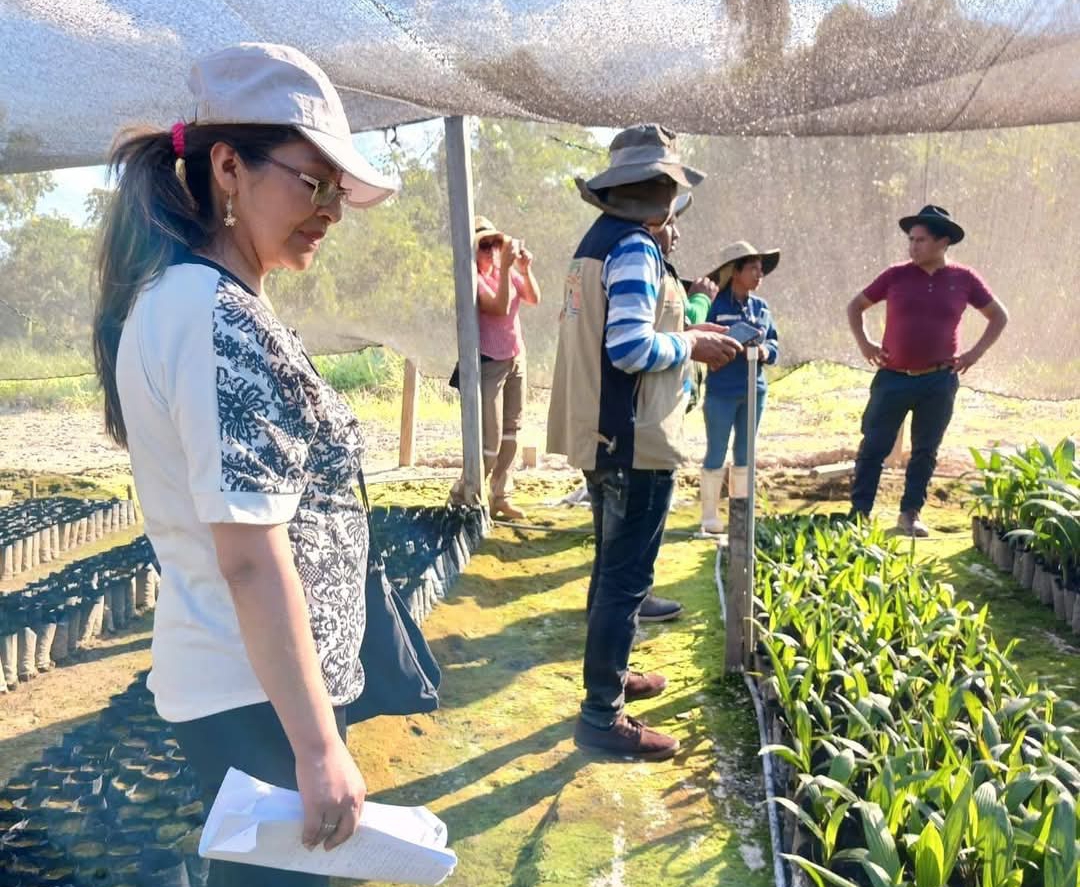 Inspeccionan viveros y parcelas de palma aceitera en La Paz y Beni ‎