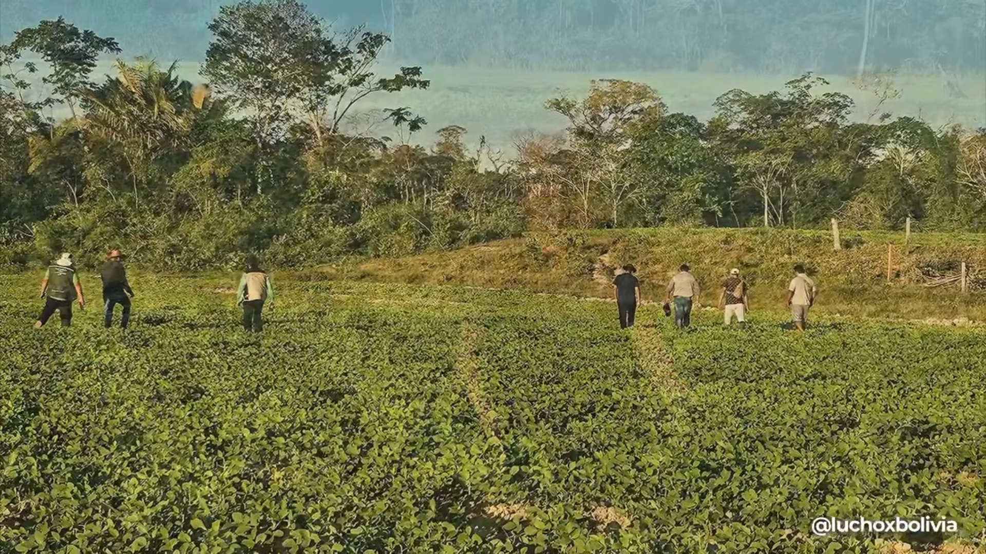 Gobierno invertirá más de Bs 652,3 millones para producir soya, maíz y arroz y consolidar la Marcha al Norte