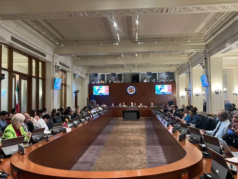 Bolivia urge en la OEA adoptar medidas para garantizar derechos de los pueblos indígenas