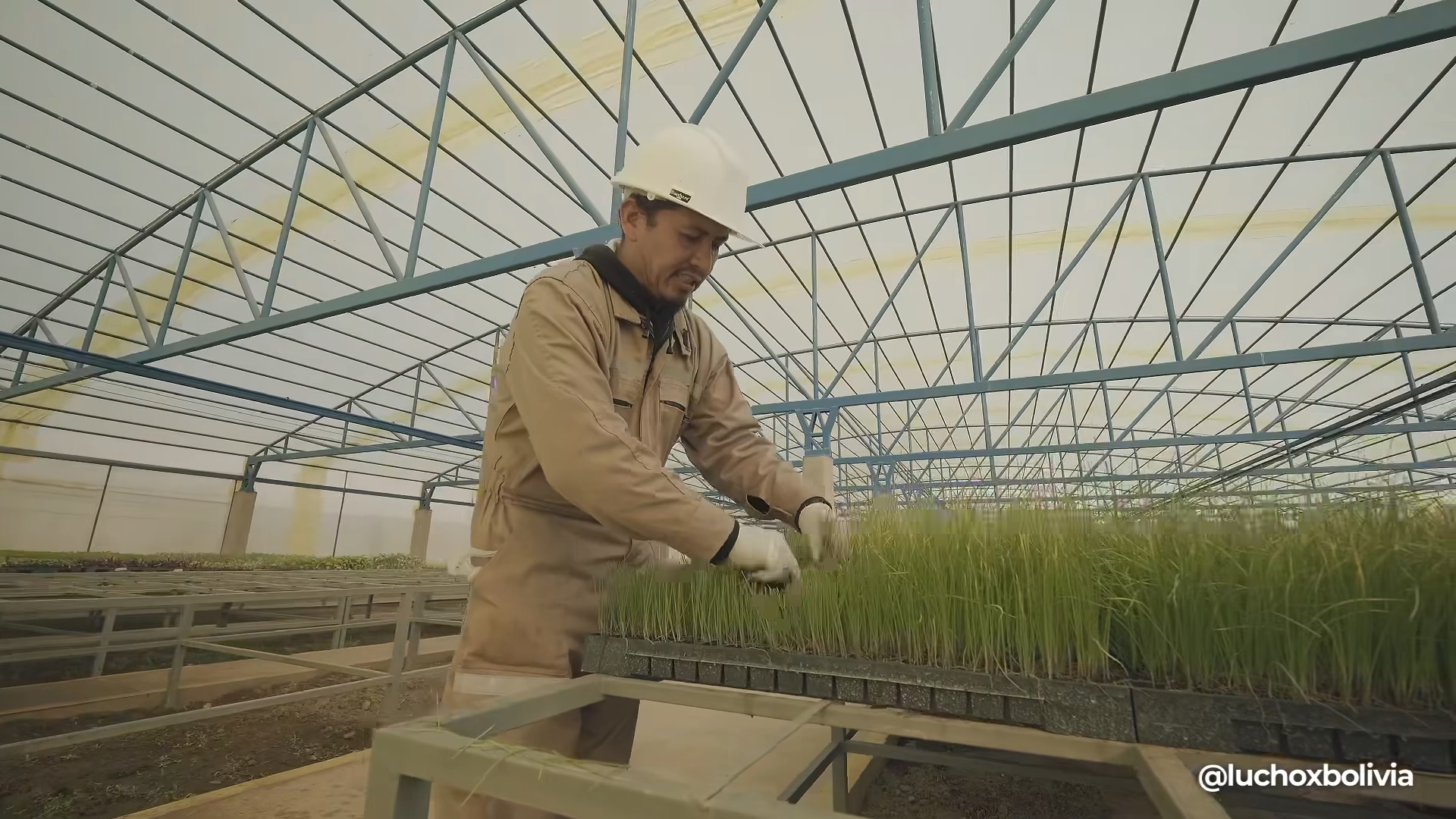 En Aiquile llega al 87% la construcción y equipamiento de la Plantinera de Hortalizas