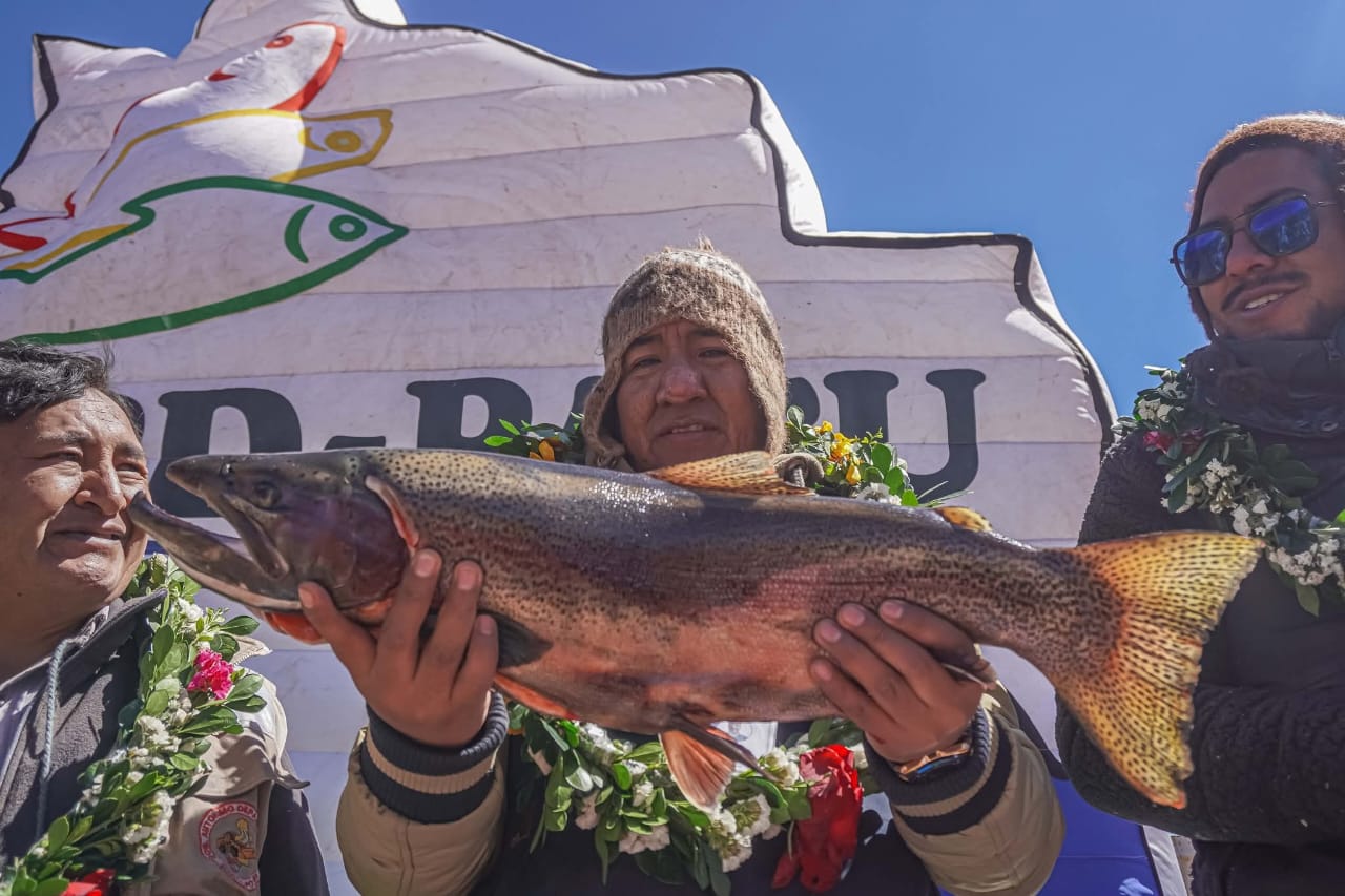 Entregan jaulas flotantes e insumos para fortalecer la producción de trucha en Tomave