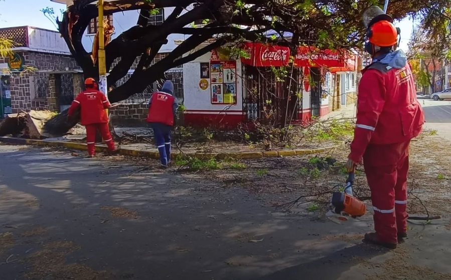 En la ciudad de Tarija atienden 17 emergencias por vientos huracanados