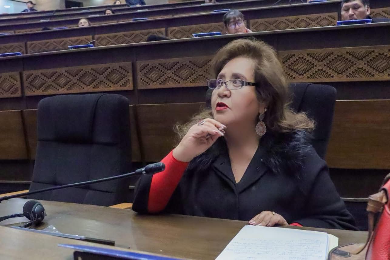 Comisión de DDHH de Diputados condena agresión a periodista cuando realizaba un programa en vivo