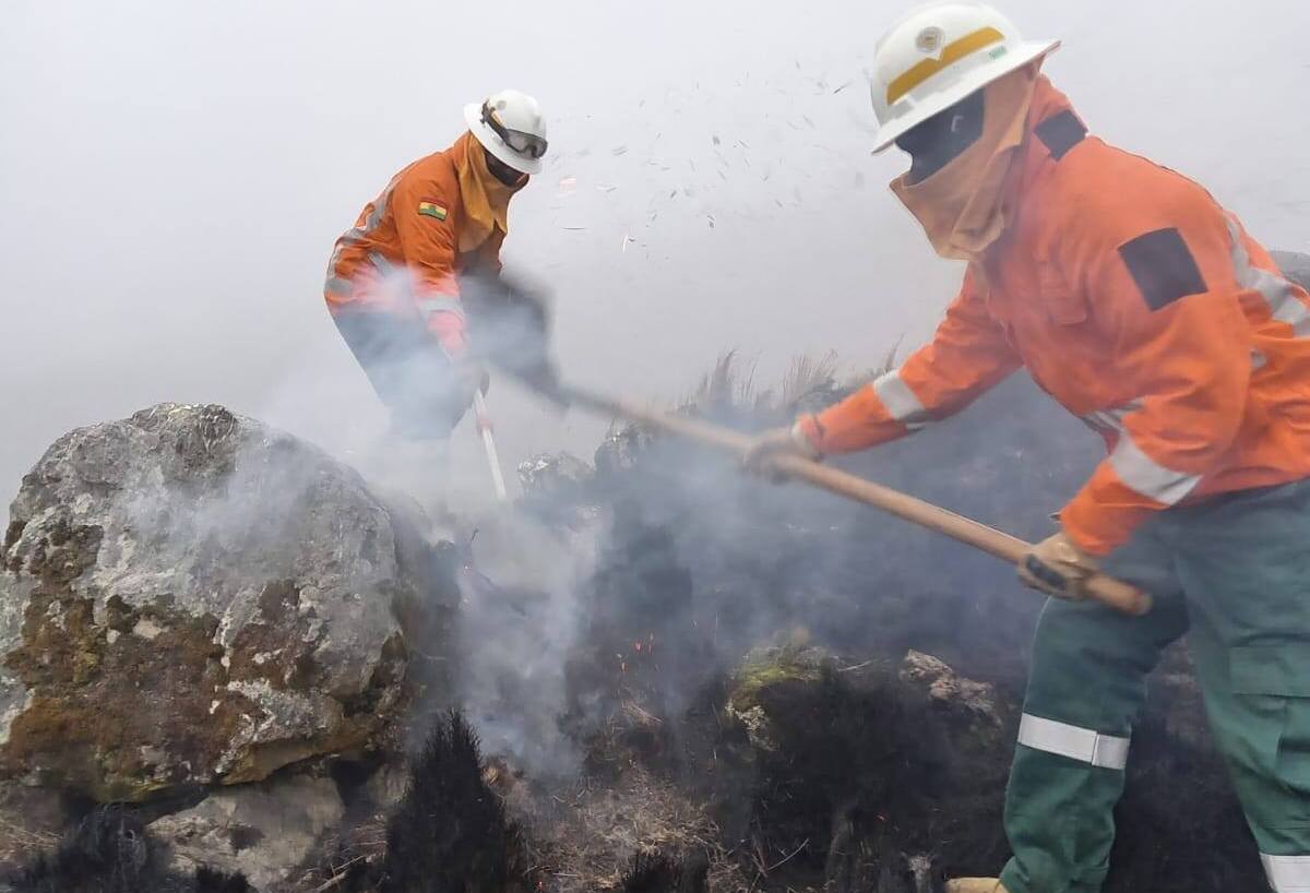 Bolivia está libre de incendios forestales, fuego en el Parque Noel Kempff fue totalmente extinguido