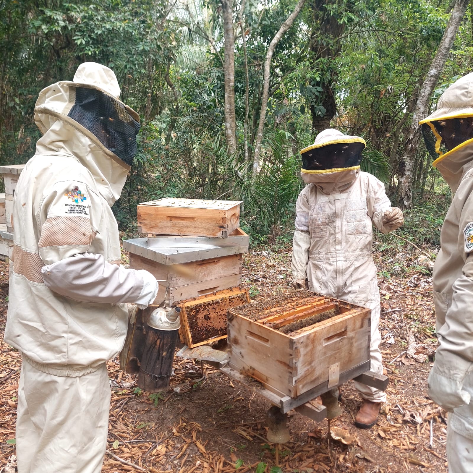 Apoyo estatal duplica la producción de miel en el municipio chuquisaqueño de Muyupampa