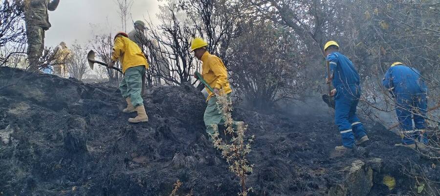 Bomberos sofocan 69 incendios forestales y ejecutan 82 operativos por tierra, agua y aire