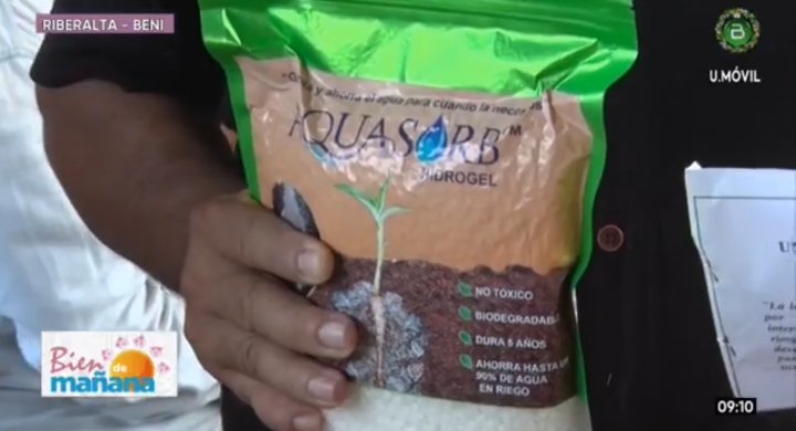 Mas de 200 familias reciben semillas para recuperar producción afectada por incendios en Riberalta