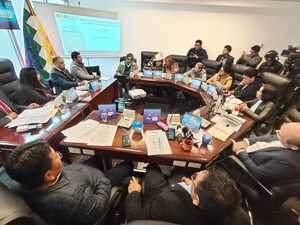 Acusan a diputado de Creemos de intentar dilatar aprobación de ley de escaños