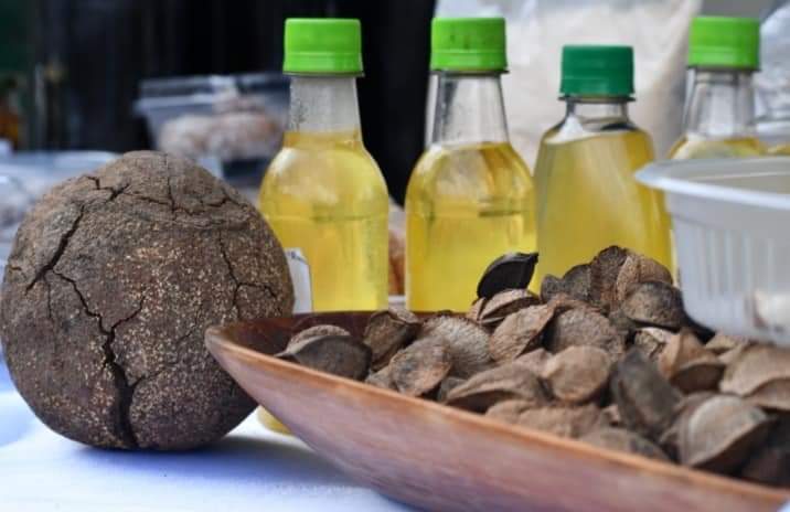 Impulsan potencial productivo y sostenible de la Amazonía con créditos del BDP por Bs 164,1 millones