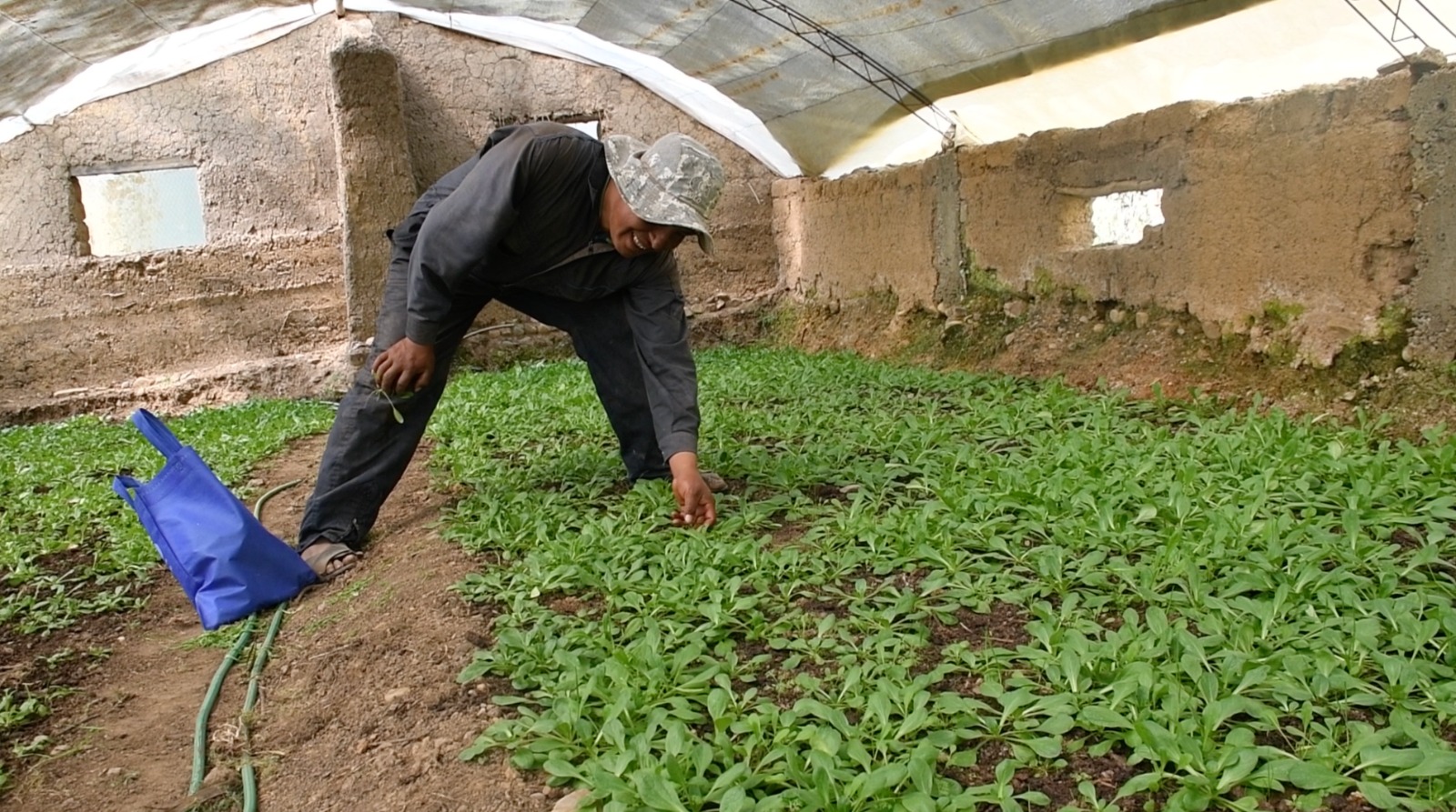 Más de 200.000 productores del país hicieron realidad sus emprendimientos a través del BDP