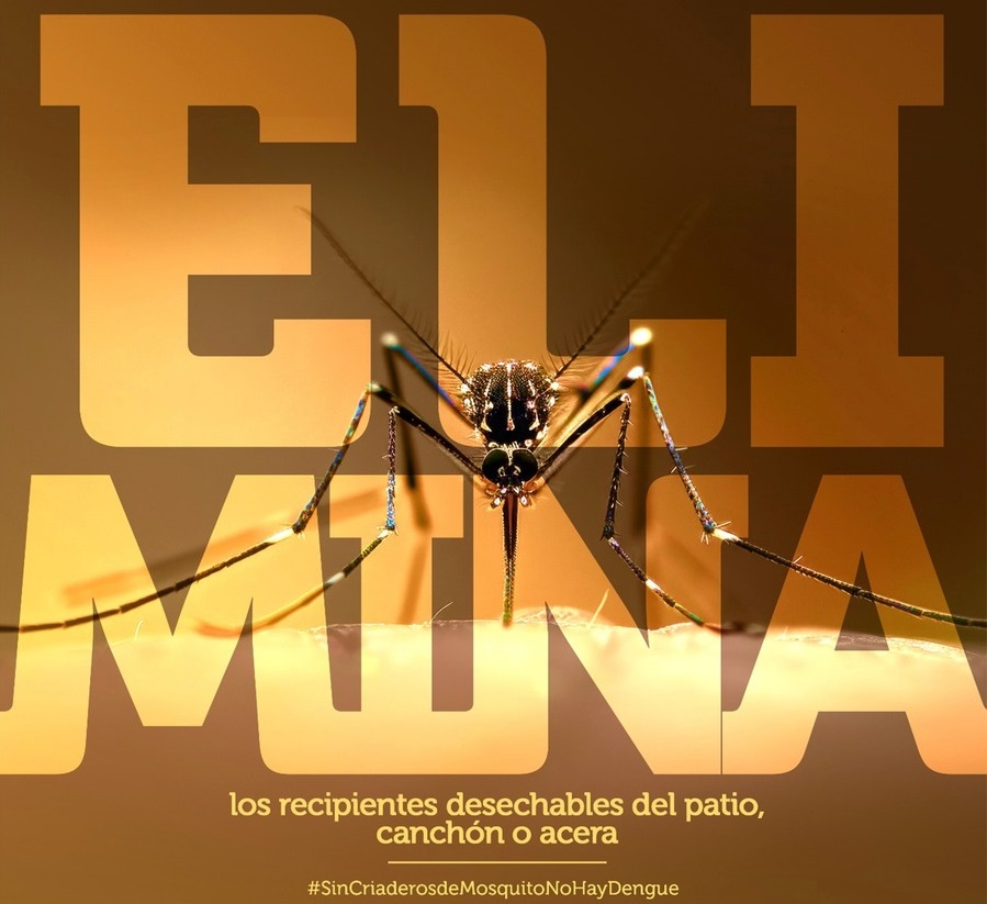 Activan alerta en 4 municipios de Beni por casos de dengue y preparan campaña de limpieza en la capital de Pando