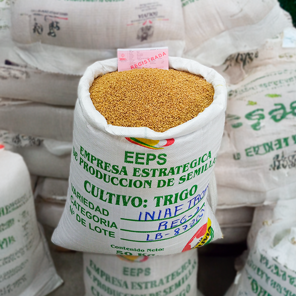 Ingresos de la empresa estatal de semillas crecen un 7,70% y suben a Bs 38,8 millones en 2024