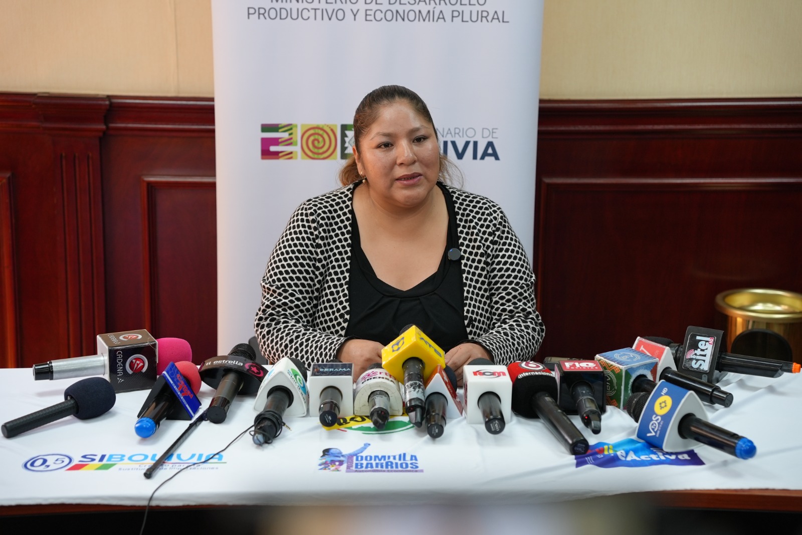 Viceministra de la Microempresa, Pequeña Empresa y Artesanía, Ana Delina Flores. Foto: MDPyEP