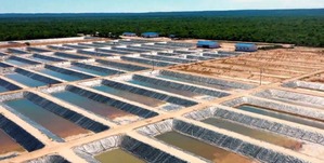 Construcción de la planta piscícola en Villamontes llega al 79,65% de avance y será un factor de desarrollo en el Gran Chaco