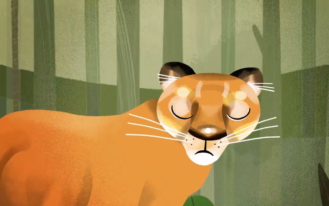 El Musef y la Embajada de Brasil concluyen traducción y doblaje al portugués de leyendas y cultura oral indígena