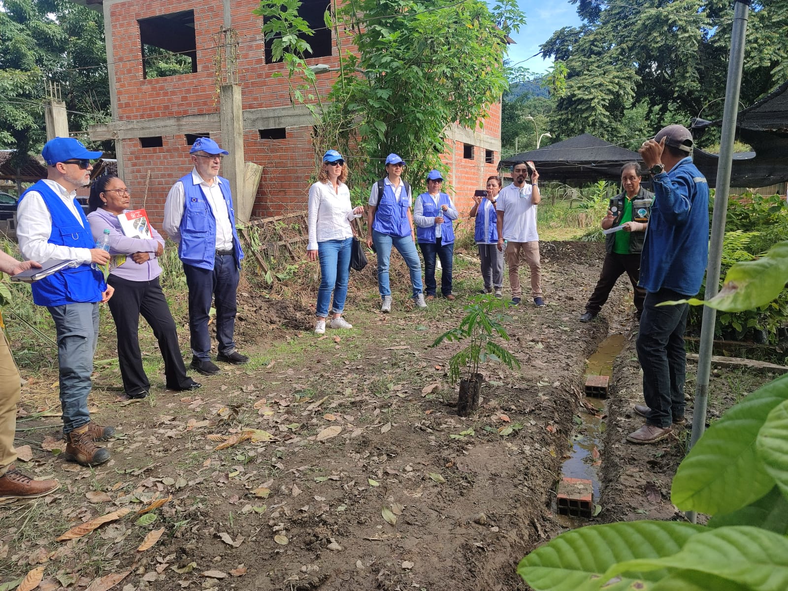 Apoyo de la UE y UNODC impulsa desarrollo integral rural en Los Yungas, La Paz. Foto: UNODC en Bolivia