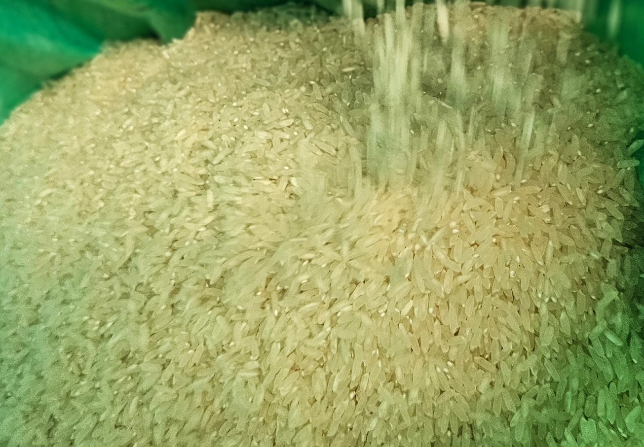 Rendimiento en producción de arroz subió a casi 30% y oferta en el mercado bajó por el contrabando a la inversa 