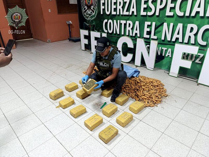 Descubren marihuana camuflada en encomienda de oca en la Terminal Bimodal de Santa Cruz