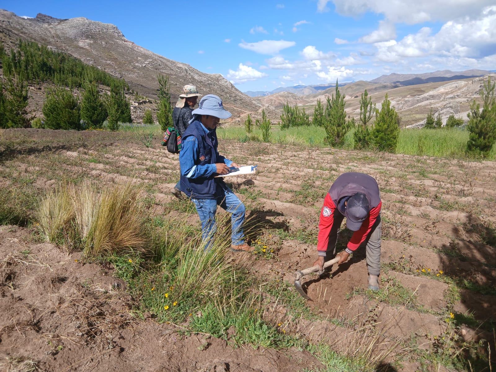 Heladas afectan a 237.000 productores y 145.000 hectáreas de 10 tipos de cultivos