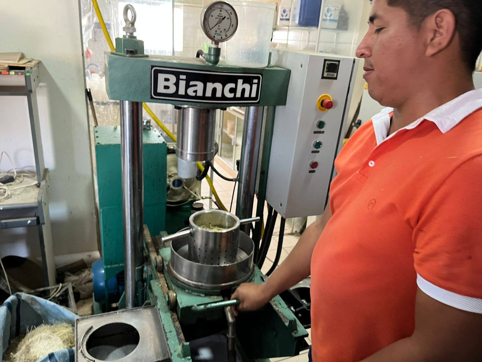 Verifican avances en la producción de vitroplantas de caña y algodón de alto potencial