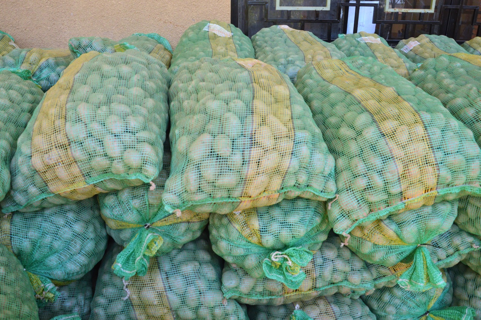 En Uriondo entregan semilla de papa certificada para incrementar el rendimiento de cultivos de 1.055 familias