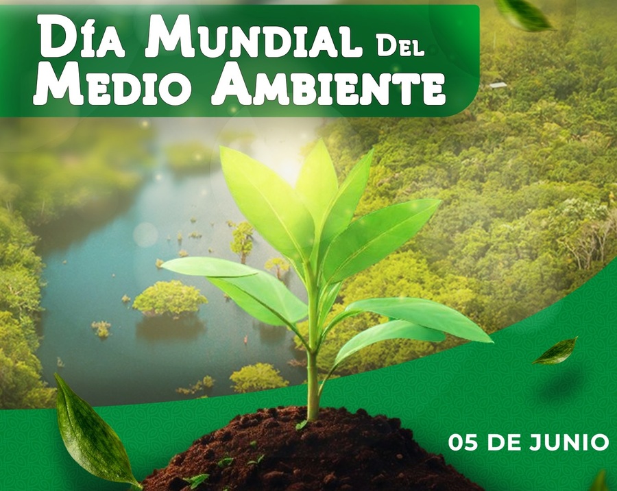Gobierno insta a cuidar los recursos naturales y reducir la contaminación en el Día Mundial del Medio Ambiente