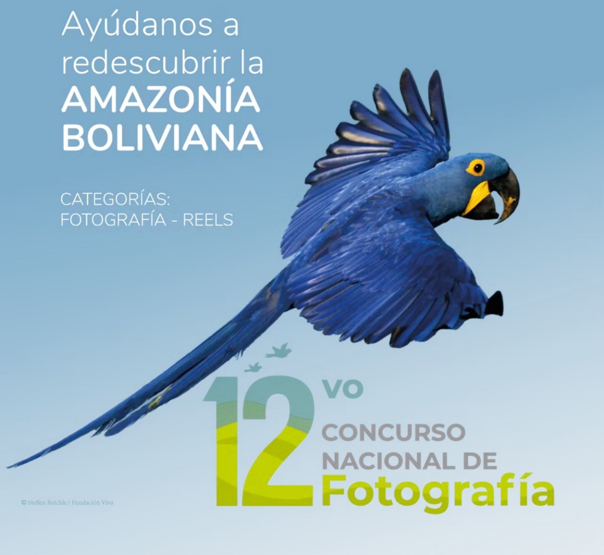 Lanzan XII edición del concurso de fotografía y video para proteger la Amazonía en Bolivia