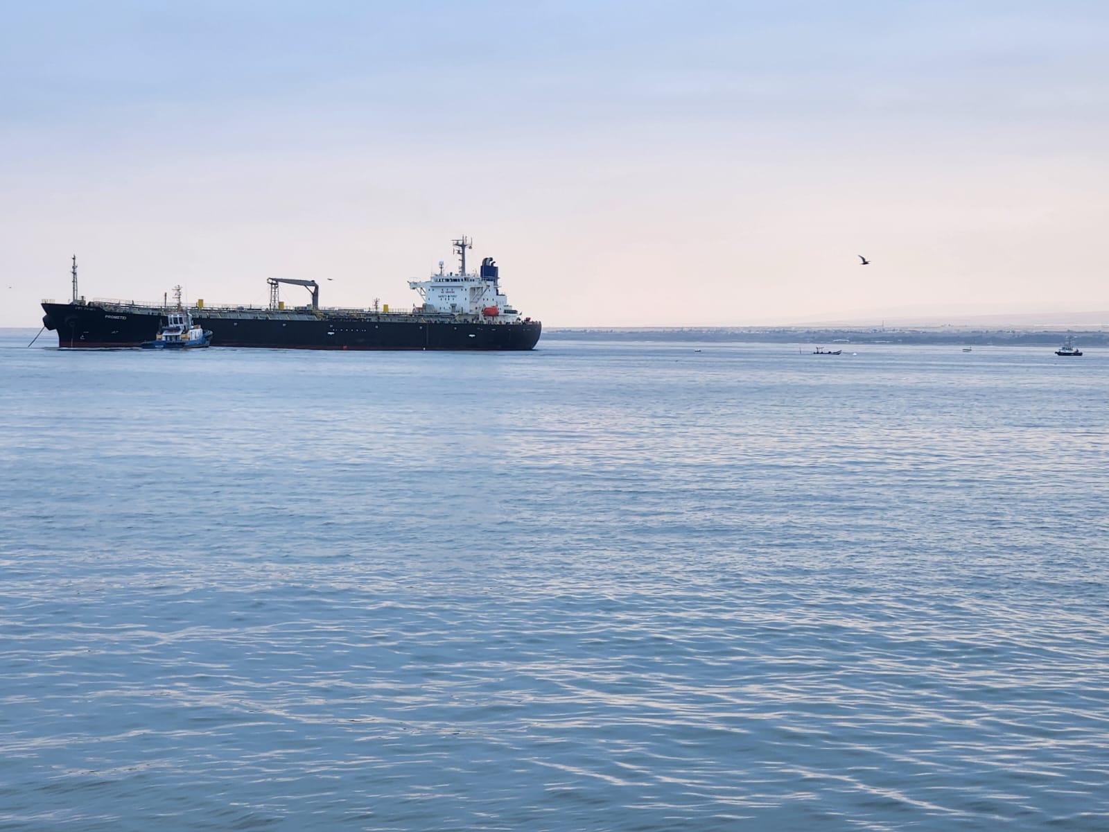 Trabajan en el despacho de 41 millones de litros de combustible desde Arica, otros cinco buques esperan descargar