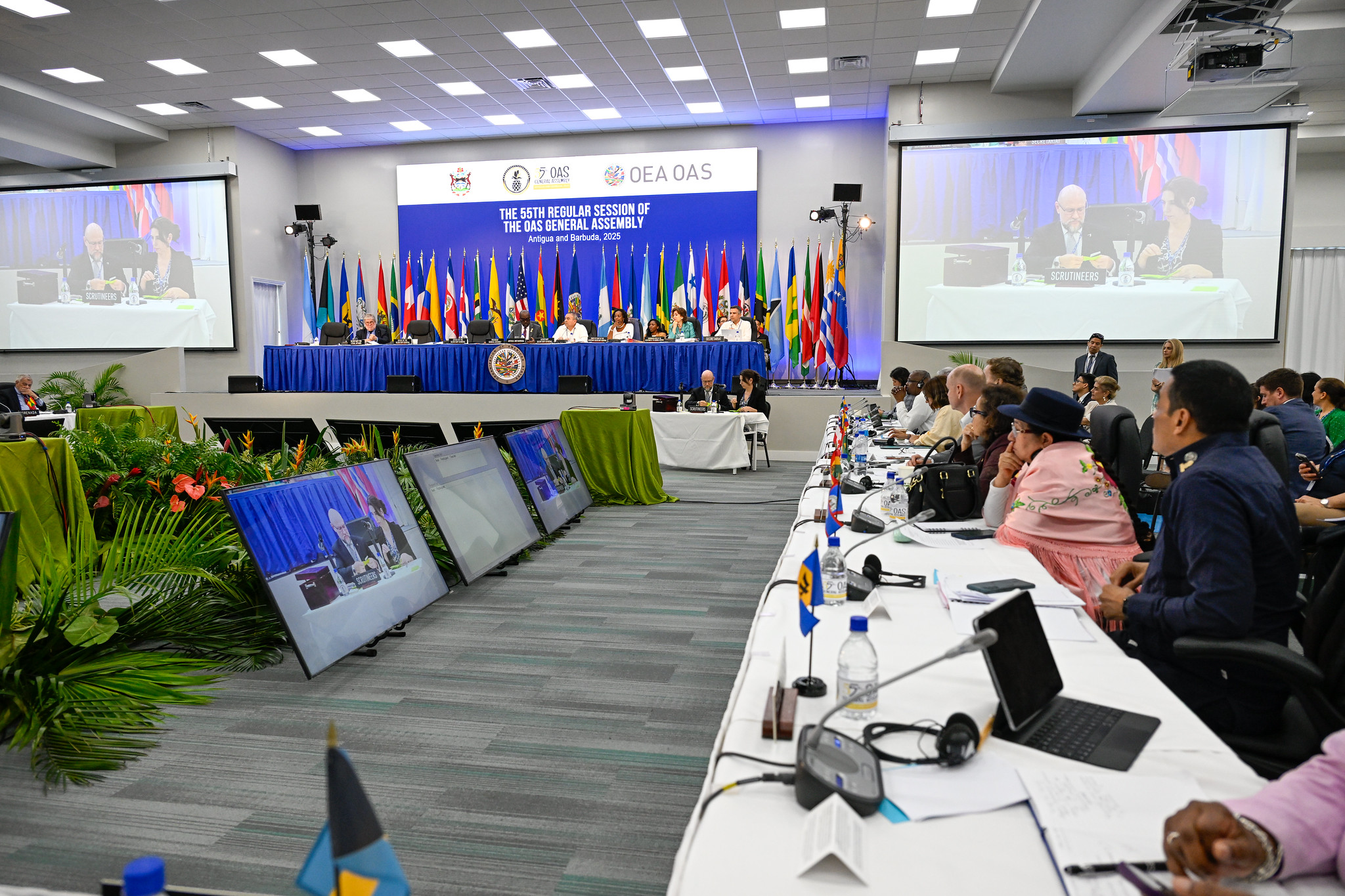 Asamblea de la OEA aprueba resolución por el Bicentenario de la Independencia de Bolivia