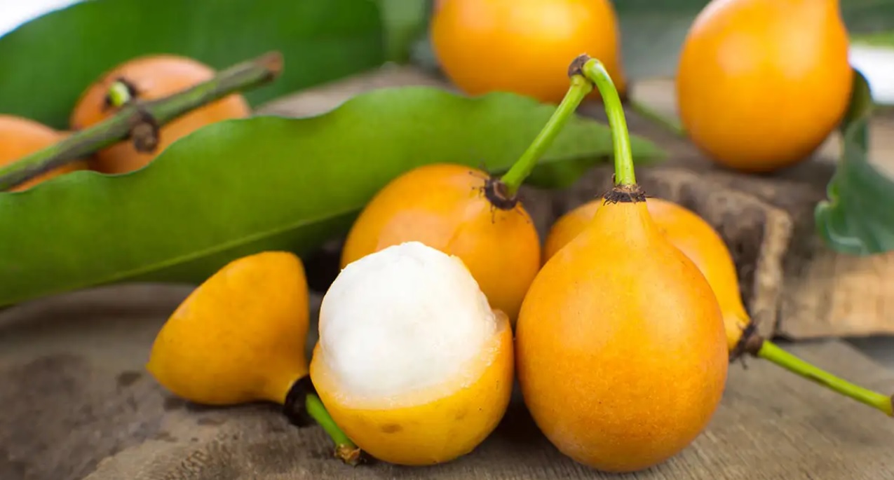 Bolivia avanza en gestiones para exportar pulpa de achachairú a EEUU