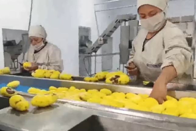 Emapa invita a la activista María Galindo a visitar la planta de industrialización de papa en El Alto