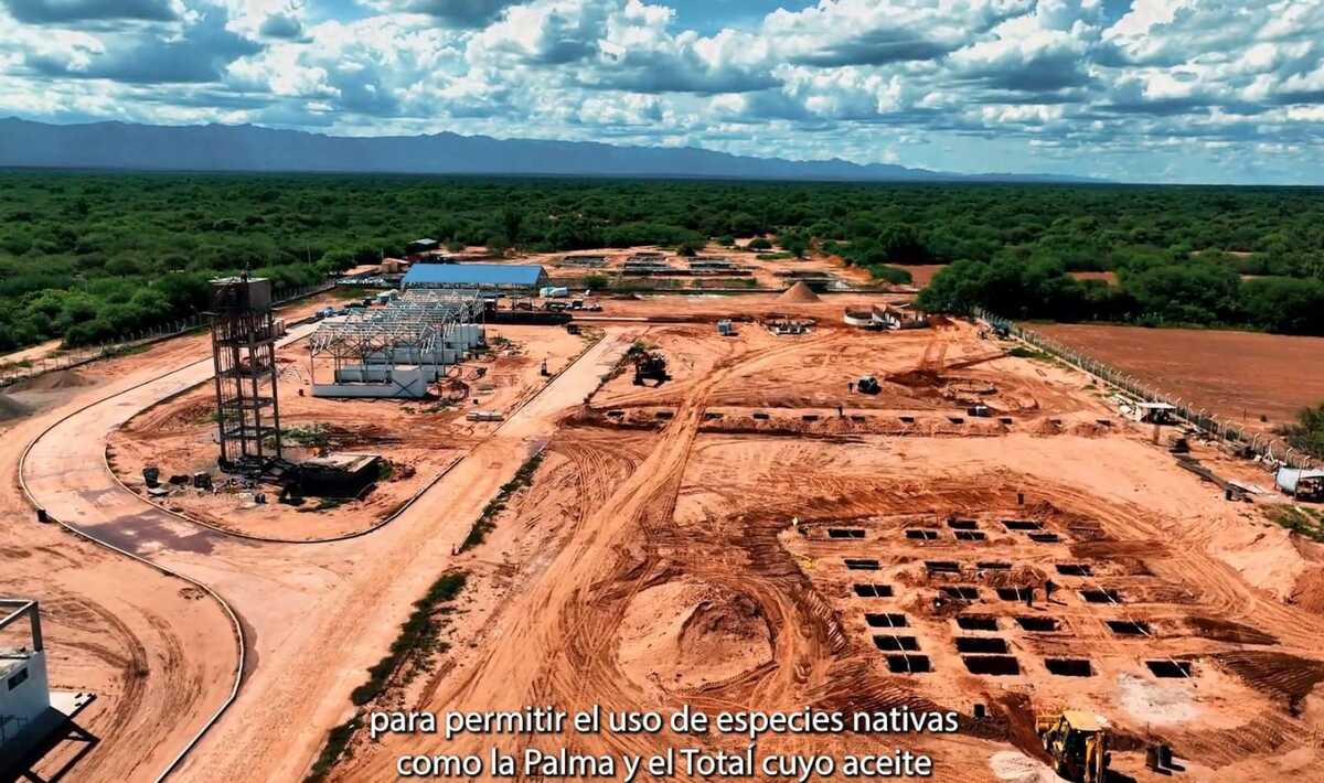 Avanza construcción de la planta procesadora de aceite vegetal en Chimoré para la industria del biodiésel