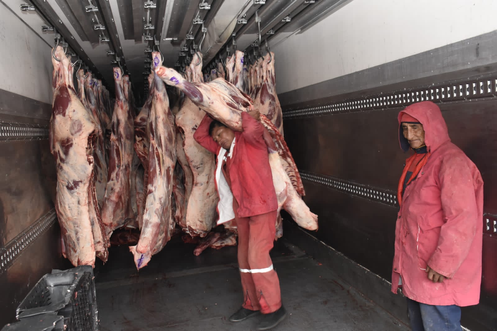 Emapa distribuye 60 reses por día a Bs 34 el kilo gancho para mercados de La Paz y El Alto 